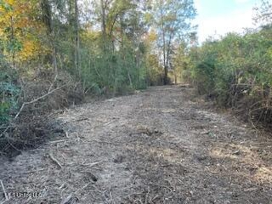Commercial Acreage For Sale on Hwy 24 W Pike Co MS