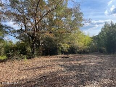 Commercial Acreage For Sale on Hwy 24 W Pike Co MS - image 5