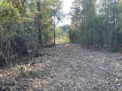 Commercial Acreage For Sale on Hwy 24 W Pike Co MS - image 4