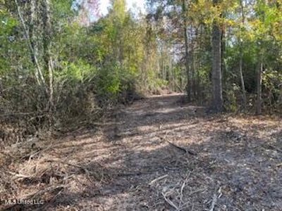 Commercial Acreage For Sale on Hwy 24 W Pike Co MS - image 1