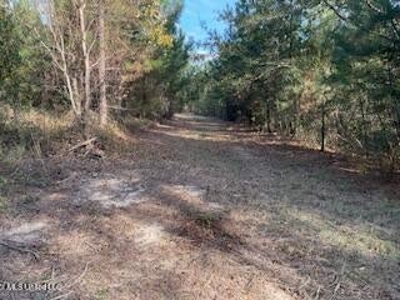Commercial Acreage For Sale on Hwy 24 W Pike Co MS - image 7