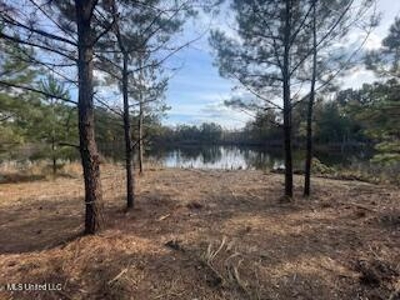 Commercial Acreage For Sale on Hwy 24 W Pike Co MS - image 2