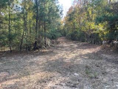 Commercial Acreage For Sale on Hwy 24 W Pike Co MS - image 6