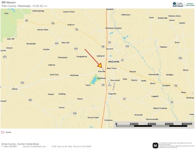 Commercial Acreage For Sale on Hwy 24 W Pike Co MS - image 8