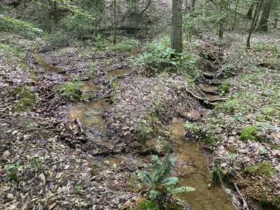 Land For Sale In Tn, 15 Acres+/-, Wooded Land - image 26