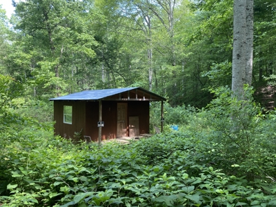 Land For Sale In Tn, 15 Acres+/-, Wooded Land - image 3