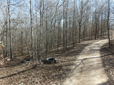 Land For Sale In Tn, 15 Acres+/-, Wooded Land - image 11