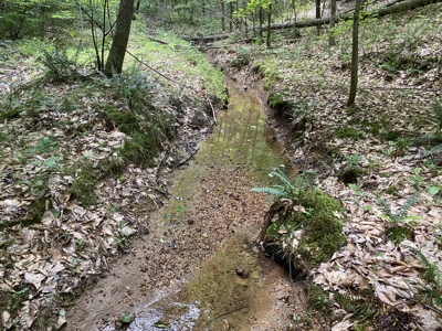 Land For Sale In Tn, 15 Acres+/-, Wooded Land - image 28