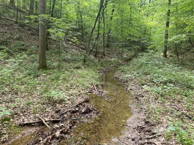 Land For Sale In Tn, 15 Acres+/-, Wooded Land - image 32