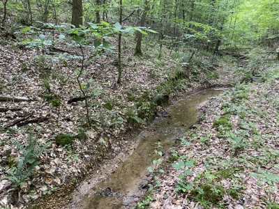 Land For Sale In Tn, 15 Acres+/-, Wooded Land - image 30