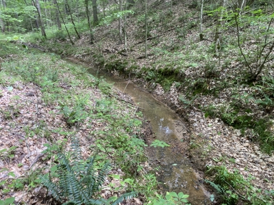 Land For Sale In Tn, 15 Acres+/-, Wooded Land - image 29