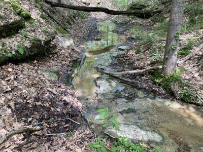 Land For Sale In Tn, 15 Acres+/-, Wooded Land - image 36