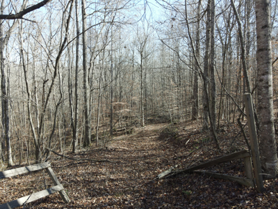 Land For Sale In Tn, 15 Acres+/-, Wooded Land - image 10