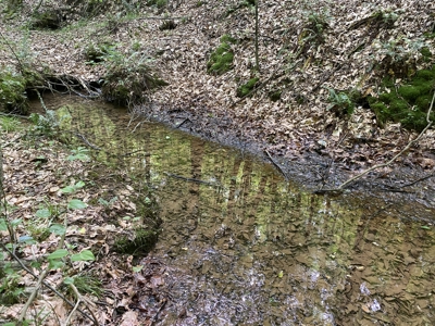 Land For Sale In Tn, 15 Acres+/-, Wooded Land - image 23