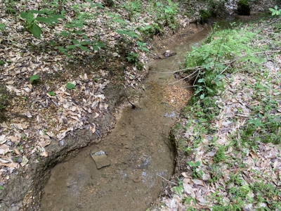 Land For Sale In Tn, 15 Acres+/-, Wooded Land - image 27