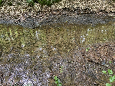 Land For Sale In Tn, 15 Acres+/-, Wooded Land - image 24