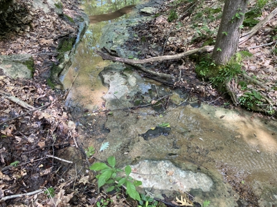 Land For Sale In Tn, 15 Acres+/-, Wooded Land - image 37