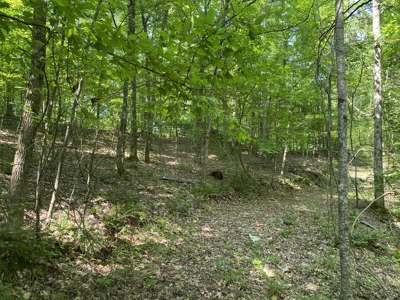 Land For Sale In Tn, 15 Acres+/-, Wooded Land - image 14