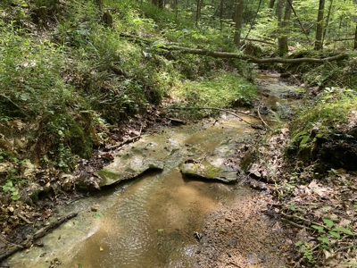 Land For Sale In Tn, 15 Acres+/-, Wooded Land - image 1