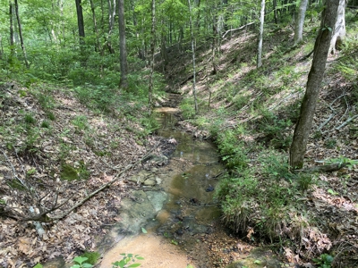 Land For Sale In Tn, 15 Acres+/-, Wooded Land - image 42