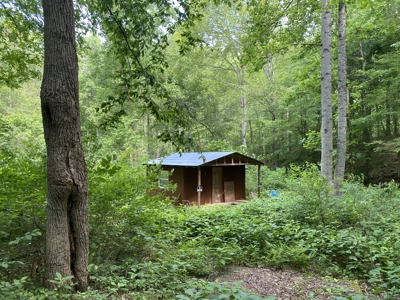 Land For Sale In Tn, 15 Acres+/-, Wooded Land - image 4