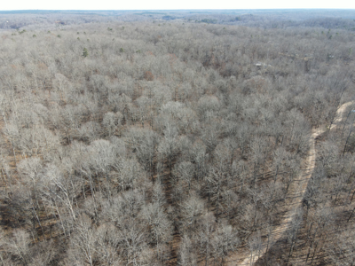 Land For Sale In Tn, 15 Acres+/-, Wooded Land - image 45