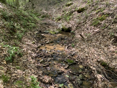 Land For Sale In Tn, 15 Acres+/-, Wooded Land - image 41