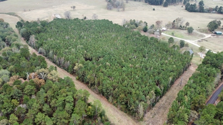 14.28 Acres Timberland for Sale Near Troup Smith County TX - image 9