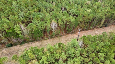 14.28 Acres Timberland for Sale Near Troup Smith County TX - image 6