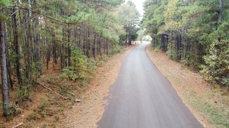 14.28 Acres Timberland for Sale Near Troup Smith County TX - image 5