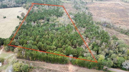14.28 Acres Timberland for Sale Near Troup Smith County TX - image 10