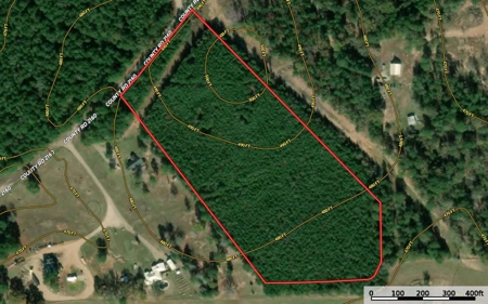 14.28 Acres Timberland for Sale Near Troup Smith County TX - image 11