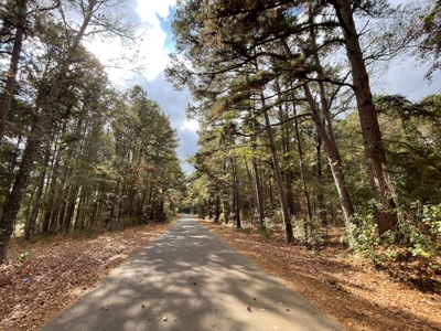 East Timber Land for Sale in Smith County near Troup Texas - image 13