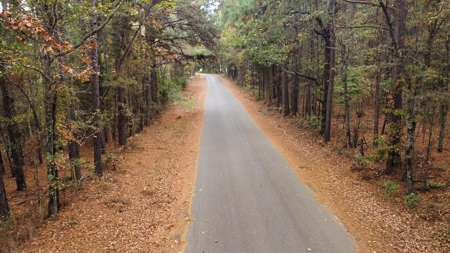 East Timber Land for Sale in Smith County near Troup Texas - image 11
