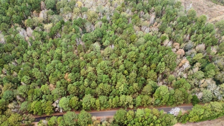 East Timber Land for Sale in Smith County near Troup Texas - image 5