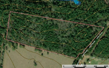 East Timber Land for Sale in Smith County near Troup Texas - image 16