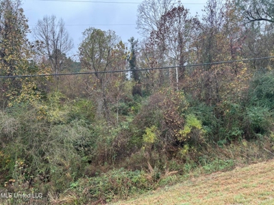 Great Investment Opportunity Franklin County McCall Creek MS - image 2