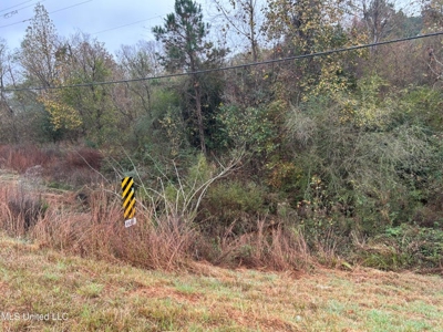 Great Investment Opportunity Franklin County McCall Creek MS - image 3
