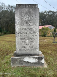 Great Investment Opportunity Franklin County McCall Creek MS - image 8