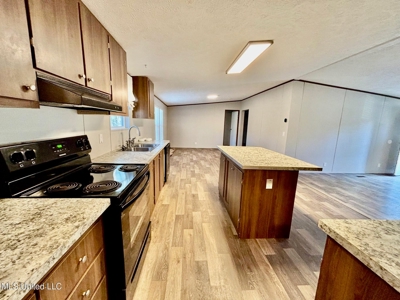 Southern Double Wide on 1.42 Acres in North Pike District - image 16