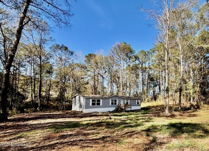 Southern Double Wide on 1.42 Acres in North Pike District - image 24