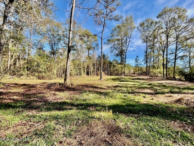 Southern Double Wide on 1.42 Acres in North Pike District - image 19