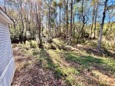 Southern Double Wide on 1.42 Acres in North Pike District - image 17