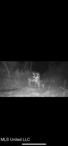 Southern Double Wide on 1.42 Acres in North Pike District - image 25