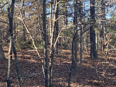 Rural Land For Sale In Arkansas - image 2
