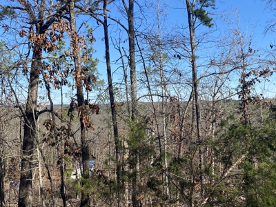 Rural Land For Sale In Arkansas - image 1