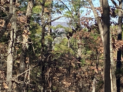 Rural Land For Sale In Arkansas - image 6