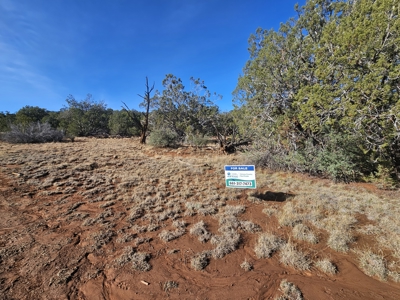 7+ acres in Seligman Off Grid heavily treed - image 2