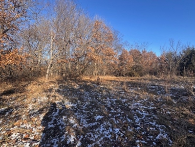 40 Acres - Timber, Hunting, Trails - Dekalb County Missouri - image 13