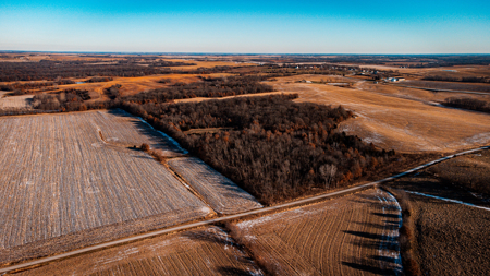 40 Acres - Timber, Hunting, Trails - Dekalb County Missouri - image 6